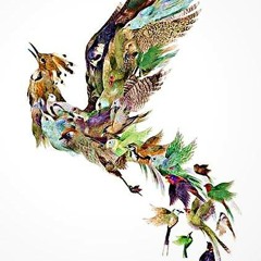 ~~Fly~~
