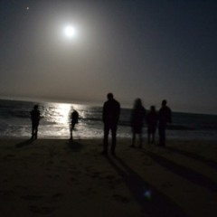 To The Moon And Back...