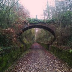 RMZ Podcast #23 - Drunken Dogs - What Would I Do If You Were To Cry Right Now ?