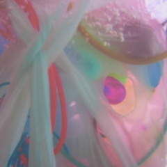 praying into the aqua