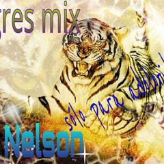 Tigres Mix Solo Para Adoloridos Nelson DJ