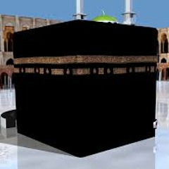 مين يجرى يقول هذا مش معقول النسخة السعودية