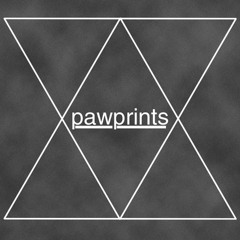 Theories of Sweetness- Pawprints