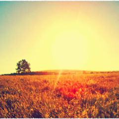 Last Summer