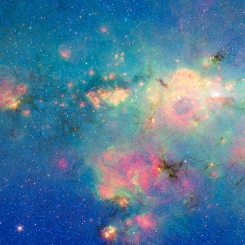 Sony (tvc) - Bách Phan