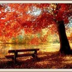 autumn 2013