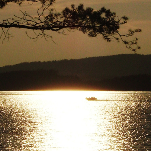 For The Seventh Time Tonight