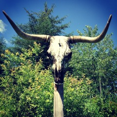 Crack Rock In My Sweater