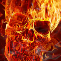 FIRE 2013