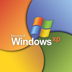 The windows