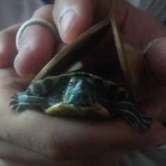 وتستمر المهزلة at عندي في الشقة :D