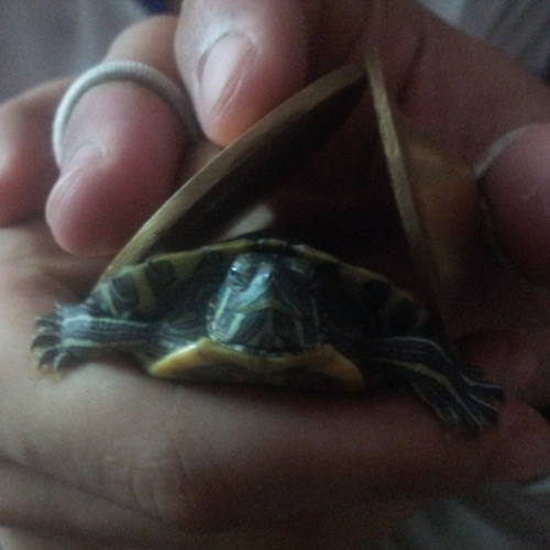 وتستمر المهزلة at عندي في الشقة :D