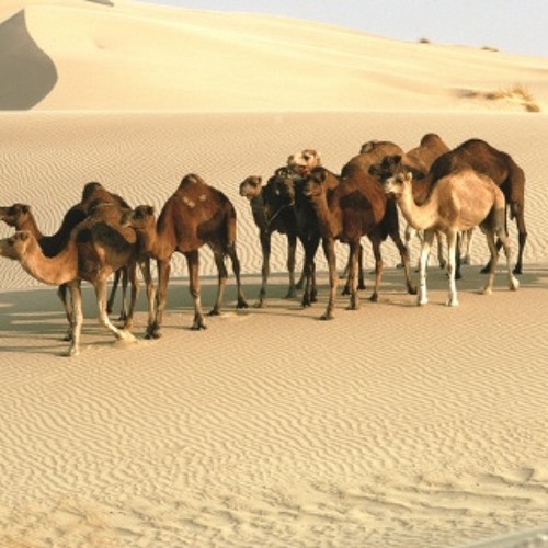 Jeevitham Mathiyayi NEW PRAVASSY SONG