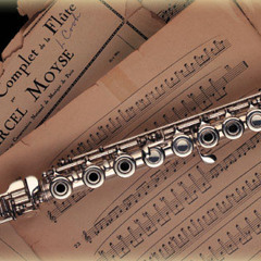 Karin Leitner Plays - Titanic - Flute