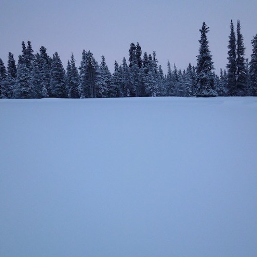 White Blanket: Section II