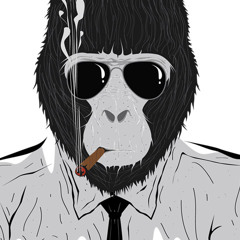 Rear View - Lito Shaw