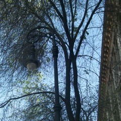 Canción de amor (fumando)