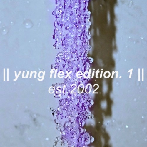YungFlex Edition.1