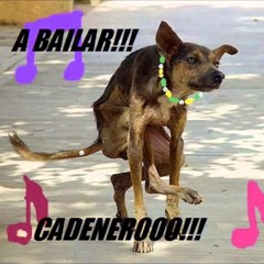 sep-set  ( A Bailar Putos Cadeneros Europeos Requetemix) Yisus castraman