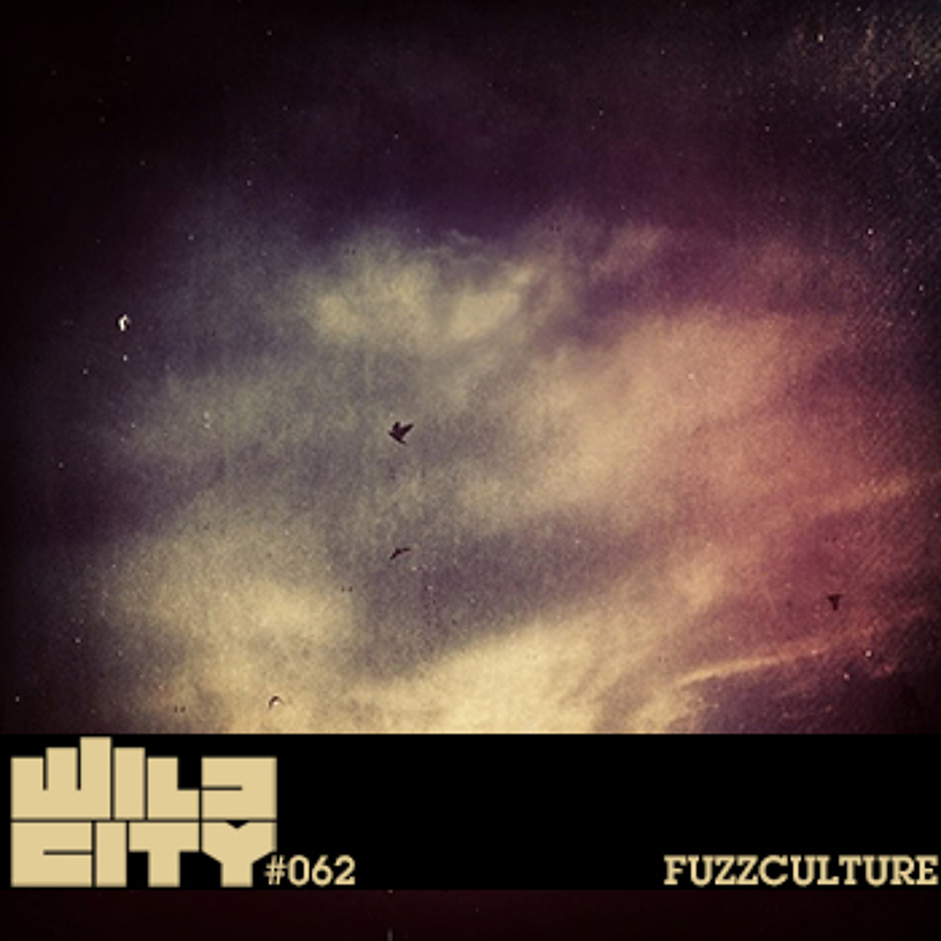 Wild City