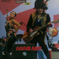 Adam Ant, Dog Eat Dog, Live 2012, Den Haag