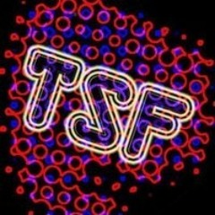 TSF podcast #13 bis (Animal Beatz) Summertime fonky shit FACE B - free download