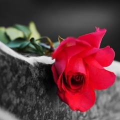 A Few Words From My Heart