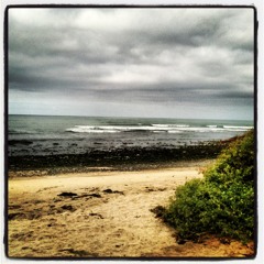 Swim In The Same Ocean with Bashar