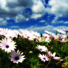 Veranda Panda - 'Spring Loud' MixTape