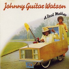 johnny guitar watson a real mother for ya