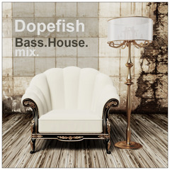 Dopefish aka DJ System-D - Bass n House Mix SEPT2013