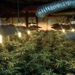 JayR & King Boo The Dro Man "My Own"