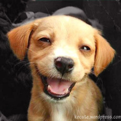 Derka Derk (Original Mix)