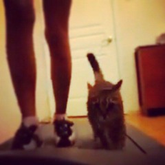 ליסבון - Lissabon (Yukon Orange Cover)