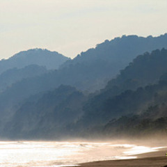 Ocean waves - GreenNoise to relax