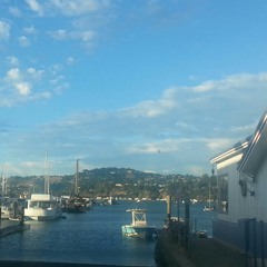 "Ordinary Problems" on the mandolin