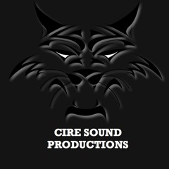 t pain, tech nine,lil Wayne /food remix. beat pro.by cire sound