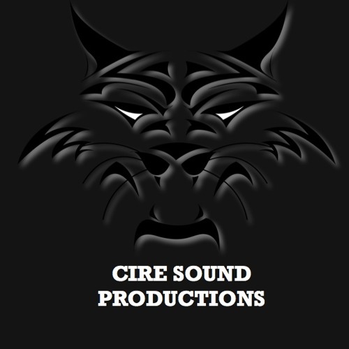 t pain, tech nine,lil Wayne /food remix. beat pro.by cire sound