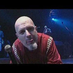 Perro amor explota - Cover Acustico