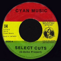 D Echo project - Selected cuts (Tor.Ma in Dub rmx)