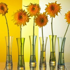 Like A Star- Corrine Bailey Rae