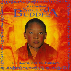 Sina Vodjani - Sacred Buddha - Straight to the Heart