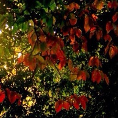 ตกตั้งใหม่ ที่ได้ยินได้ฟังครั้งแรก