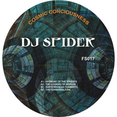 "Cosmic Consciousness EP" - DJ Spider (12" Vinyl Only / Finale Sessions)