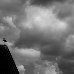 Litvin Suite / Ліцвінская сюіта