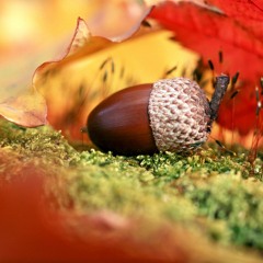 Johny B DJ Promo Mix September 2013