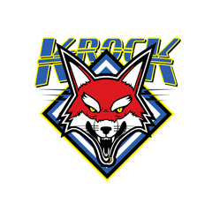 Teardrops of Jupiter(K-Rock Mashup)