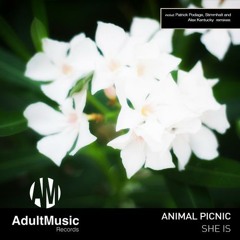 Animal Picnic - She Is (Patrick Podage Remix) [ Adult Music ] OUT NOW