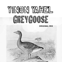 Yinon Yahel - Grey Goose - Original Mix