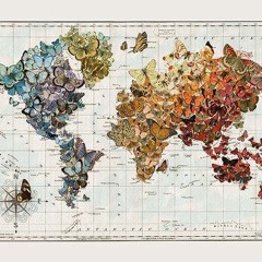 New World Beginnings